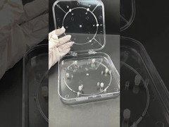 সেমিকন্ডাক্টর সুরক্ষার জন্য নিয়মিত ওয়েফার বক্স ¢ স্বচ্ছ পিসি ওয়েফার ক্যারিয়ার